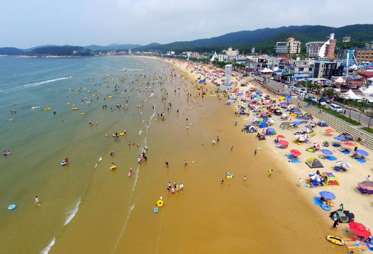 해수욕장 개장일 2025, 올여름 바다 휴가 꿀팁부터 야간개장·반려동물 해변까지 궁금증 해결
