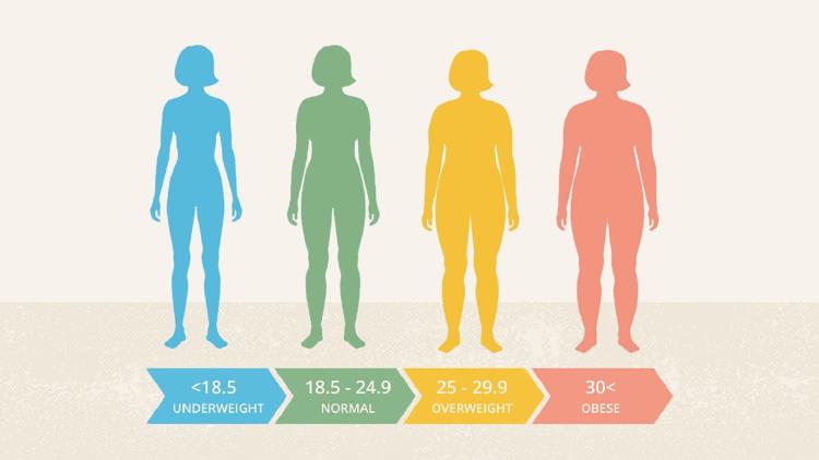 BMI 계산하는법, 내 BMI가 알려주는 건강 반전 스토리! 당신의 숫자, 과연 안심해도 될까?