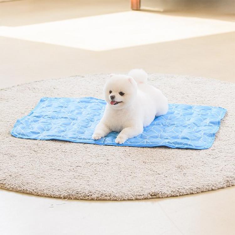 강아지 쿨매트 만들기, 집에서 10분 만에 뚝딱! 우리 강아지가 바로 눕는 꿀팁 대공개