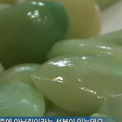 마늘장아찌 초록색, 이 현상만 알면 두려움이 사라진다