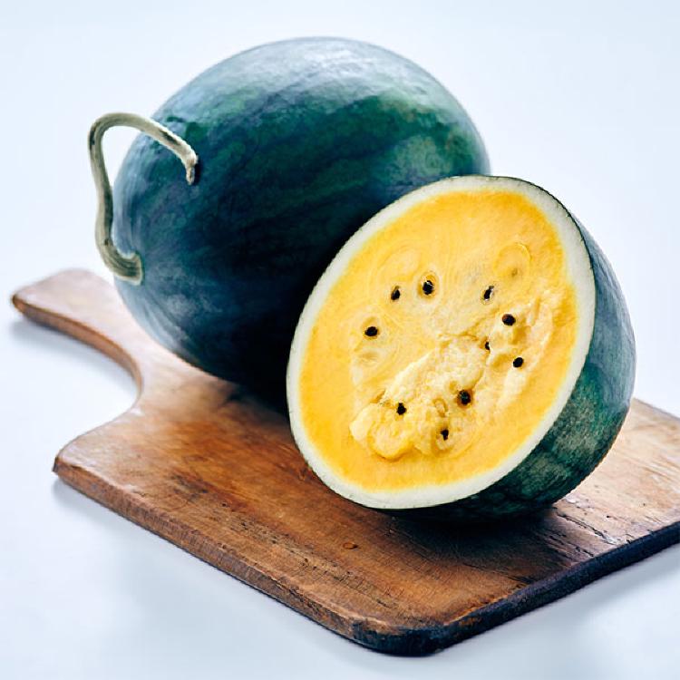 망고수박