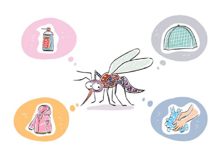 모기퇴치제 원리, 왜 모기는 나만 찾아오는 걸까, 요즘 뜨는 모기퇴치제 트렌드와 실전 꿀팁 대공개