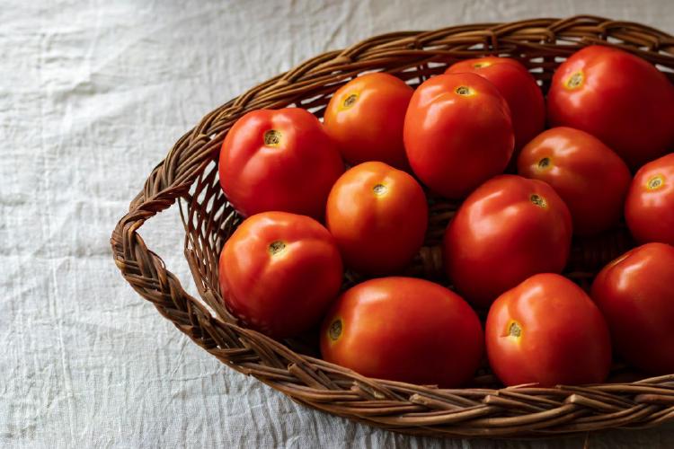스테비아 토마토효능, 달콤함에 숨겨진 건강 비밀! 진짜 효과 있을까?