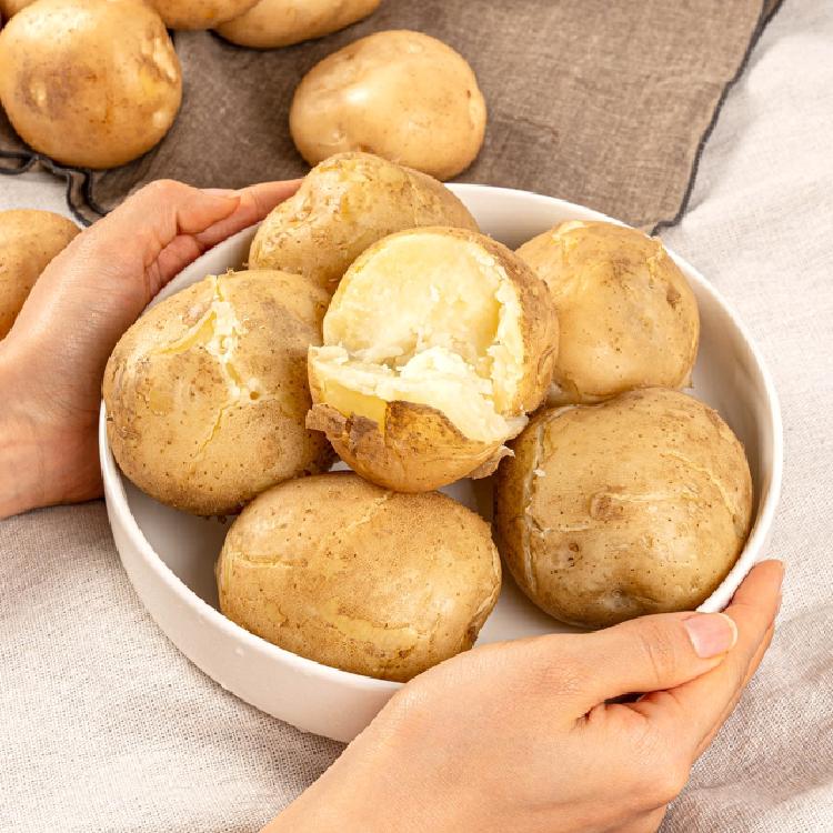 수미감자 수확시기, 언제 캐야 맛있는 감자가 될까, 수확 타이밍의 모든 비밀