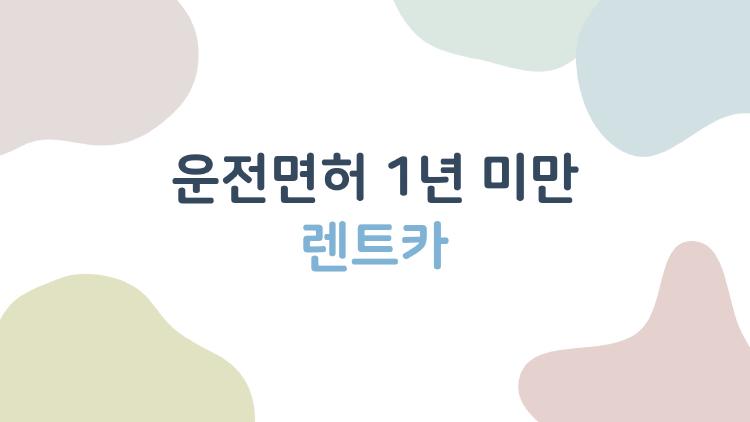 운전면허 1년 미만 렌트카