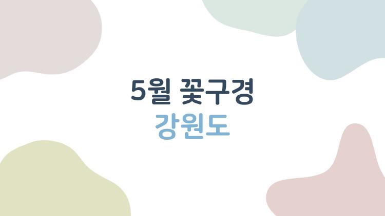 5월 꽃구경 강원도