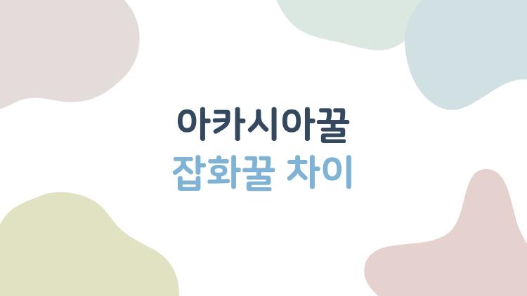 아카시아꿀 잡화꿀 차이
