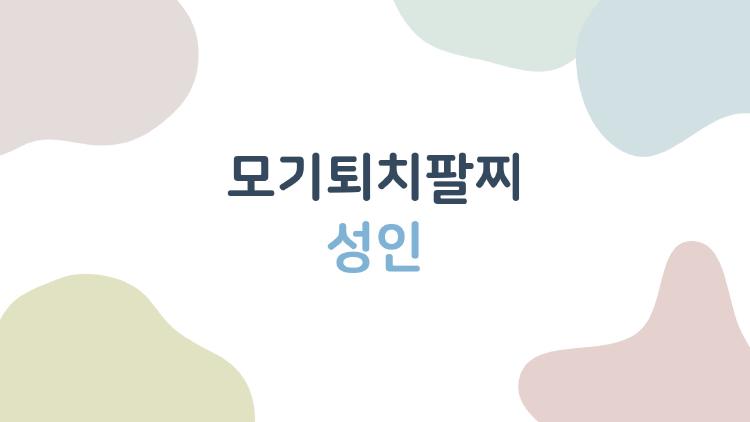 모기퇴치팔찌 성인
