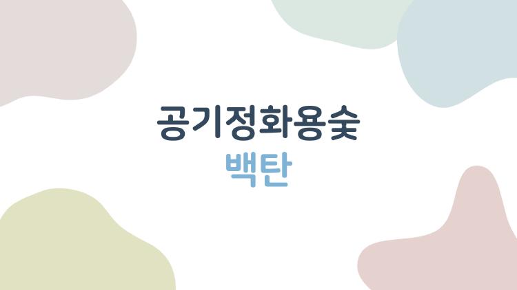 공기정화용숯 백탄