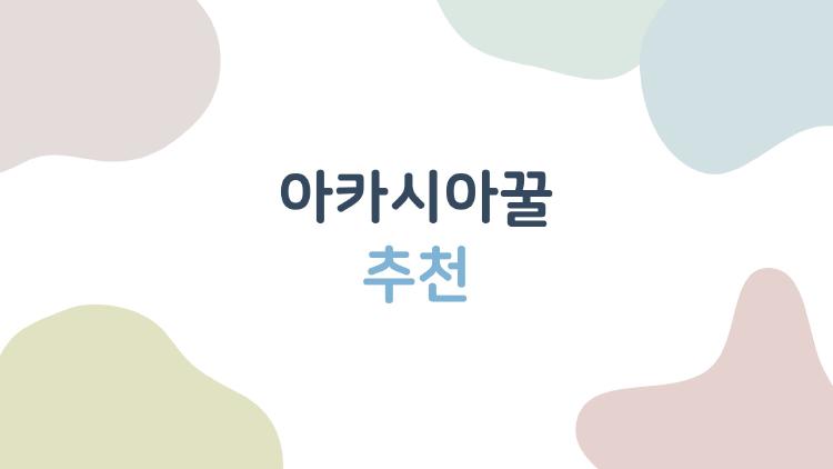 아카시아꿀 추천