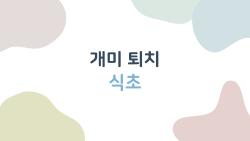 개미 퇴치 식초로 3일 만에 싹 사라진 충격 후기