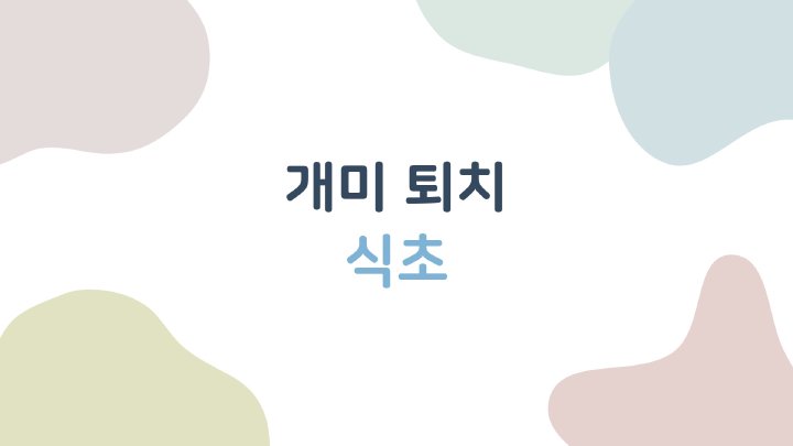 생활정보