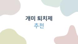 개미 퇴치제 추천, 이걸 쓰면 집 안이 완전히 깨끗해진다