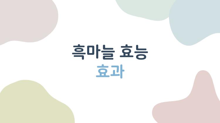 흑마늘 효능 효과
