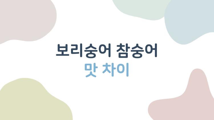 보리숭어 참숭어 맛 차이