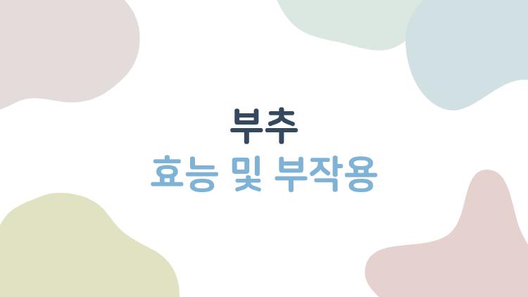 부추 효능 및 부작용