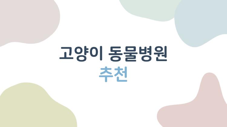 고양이 동물병원 추천