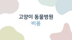 고양이 동물병원 비용, 40만 지원금 받는 꿀팁 공개