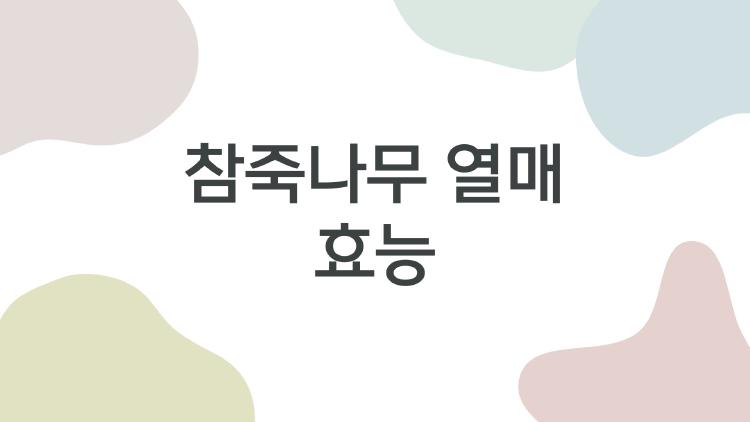 참죽나무 열매 효능