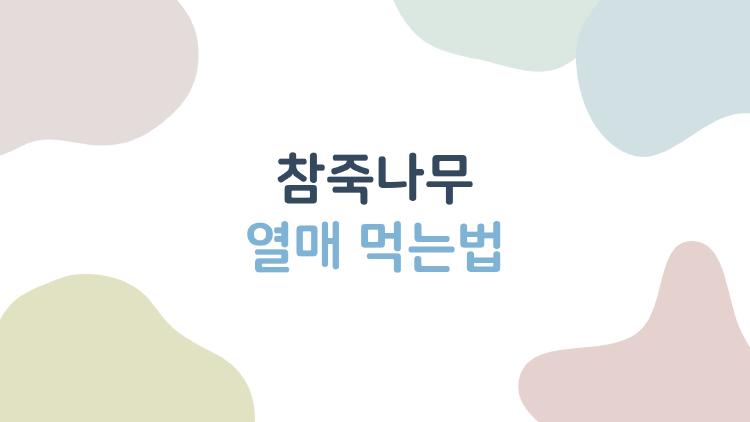 참죽나무 열매 먹는법 2026 트렌드, 재배 폭발 이유