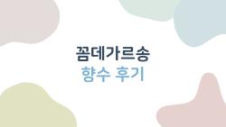 꼼데가르송 향수 후기, 지속력 3시간뿐인데 왜 중독될까