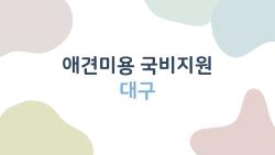 애견미용 국비지원 대구, 무료로 자격증 딴 썰 공개!