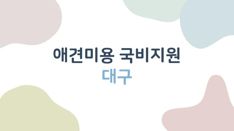 애견미용 국비지원 대구