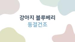 강아지 블루베리 동결건조, 노령견 털이 반짝반짝 변한 비밀
