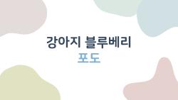 강아지 블루베리 포도, 먹이다가 큰일 날 뻔한 썰