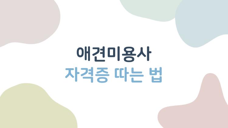 애견미용사 자격증 따는 법, 4개월 만에 월 400만원 버는 비밀