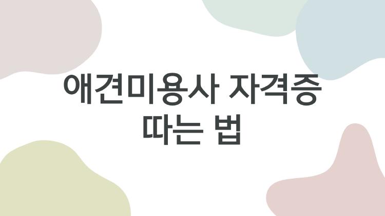 애견미용사 자격증 따는 법
