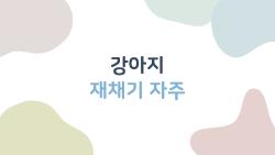 강아지 재채기 자주 하면 위험한 신호? 2026 최신 원인
