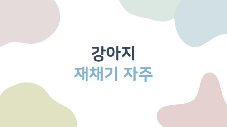 강아지 재채기 자주