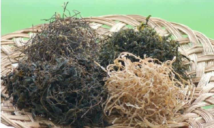 건나물 유통기한 무시하면 대참사! 상한 냄새부터 버리는 법