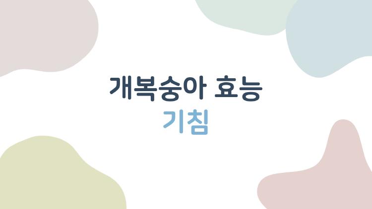개복숭아 효능 기침, 못생겼는데 기관지 마법?