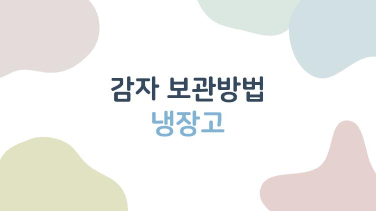 감자 보관방법 냉장고, 절대 넣지 마세요! 큰일납니다