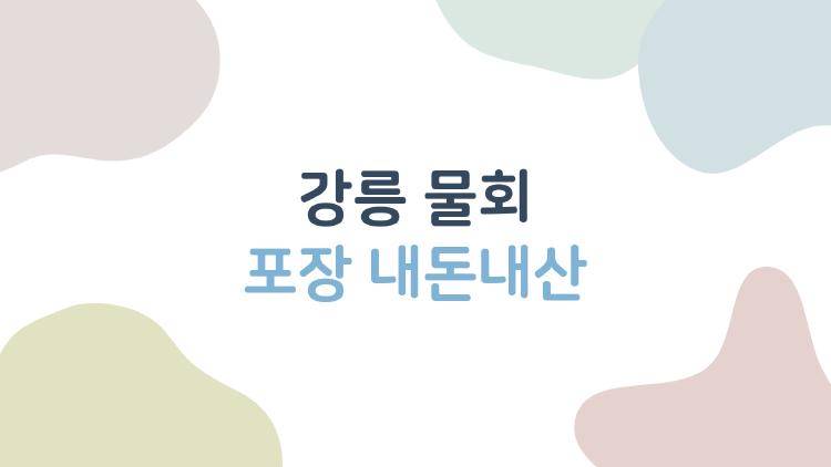 강릉 물회 포장 내돈내산, 2만원대 가성비에 반했어요 왜?