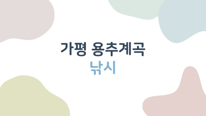 생활정보