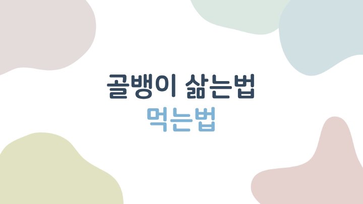 생활정보