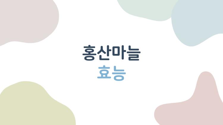 홍산마늘 효능