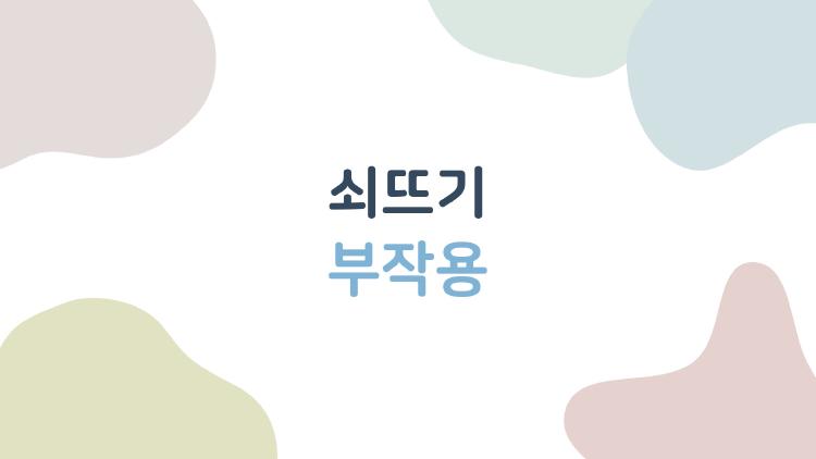 쇠뜨기 부작용