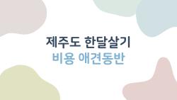 제주도 한달살기 비용 애견동반, 200만 원대로 가능할까?