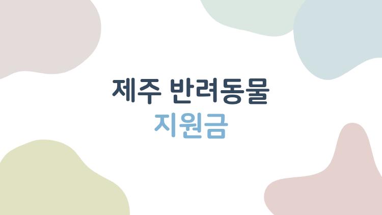 제주 반려동물 지원금, 진료비 40만 원 챙기는 비밀 방법