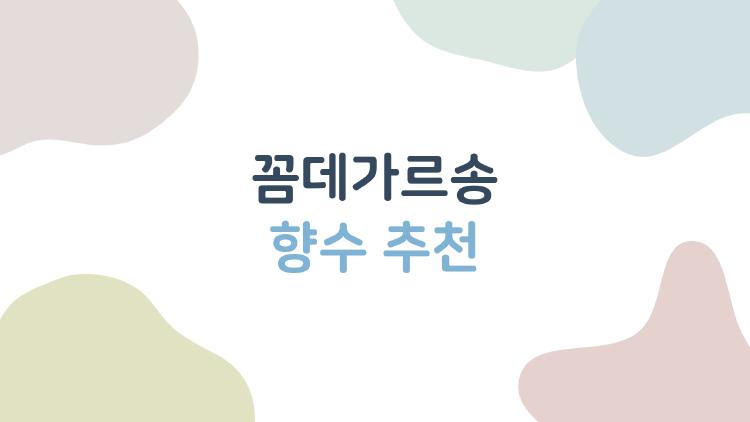 꼼데가르송 향수 추천
