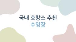 국내 호캉스 추천 수영장, 미디어아트 풀에 푹 빠진 MZ들의 비밀
