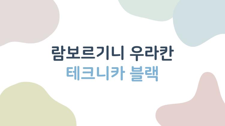 람보르기니 우라칸 테크니카 블랙, 트랙 위에 내려온 끝판왕 슈퍼카의 진짜 매력