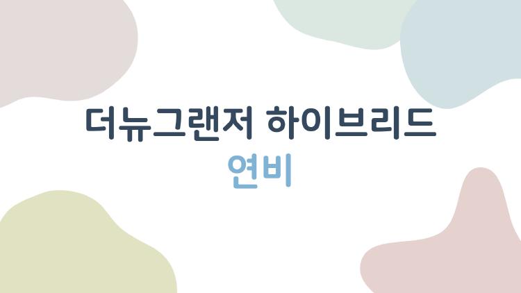 더뉴그랜저 하이브리드 연비