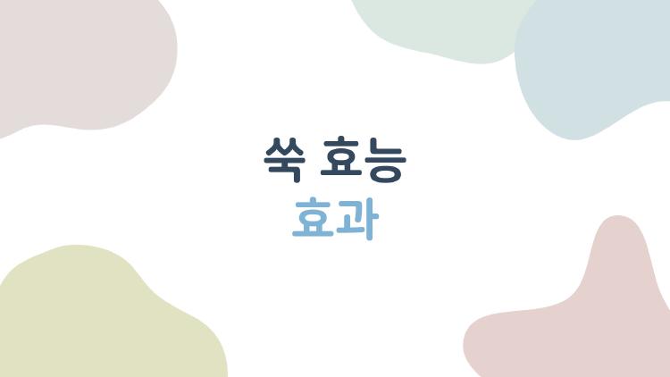 쑥 효능 효과