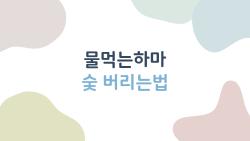 물먹는하마 숯 버리는법, 이렇게 버리면 망가질 수 있다, 2026년 최신 가이드