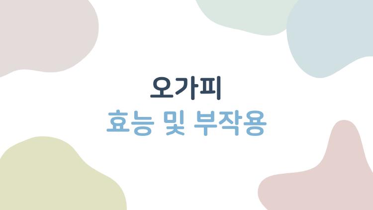 오가피 효능 및 부작용, 피로 날리는 제2의 인삼일까?